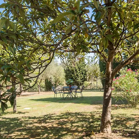 Apartment Podere San Lorenzo *